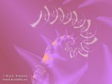 20081024-02