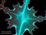 20090206-05