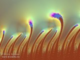 20090214-01