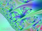 20090215-07