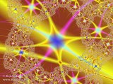 20090215-08