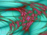 20090326-04
