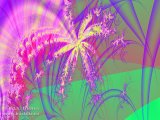 20090508-07