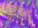 20090508-08