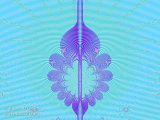 20090515-01