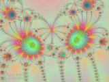 20090515-04