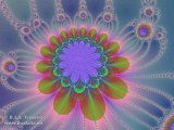 20090515-06