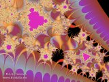 20090703-03