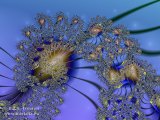 20100508-01