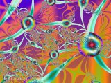 20100728-08