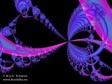 20110204-02