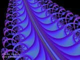 20110204-03