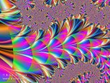 20110708-01
