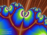20110721-02